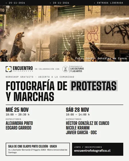 Feed · Perros