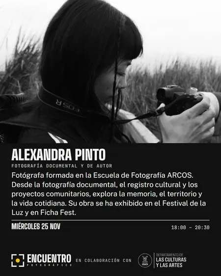 Feed · Alexandra Pinto