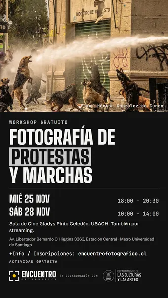 Historia · Perros