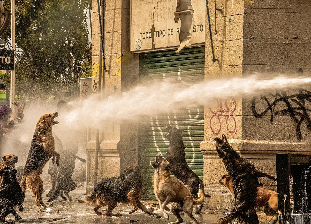 Foto de Héctor González de Cunco: perros callejeros saltan y ladran contra el chorro de agua de un carro lanzaaguas frente a un local cerrado con grafitis.